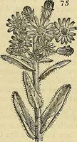An illustration from The gardener's magazine and register of rural & domestic improvement (1826)