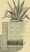 An illustration from The gardener's magazine and register of rural & domestic improvement (1826)