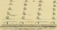 An illustration from The gardener's magazine and register of rural & domestic improvement (1826)