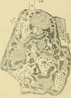 An illustration from The gardener's magazine and register of rural & domestic improvement (1826)