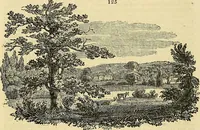 An illustration from The gardener's magazine and register of rural & domestic improvement (1826)