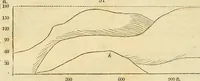Picture 45 of 147 from The gardener's magazine and register of rural & domestic improvement (1826), leaf 246