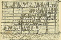 Picture 55 of 147 from The gardener's magazine and register of rural & domestic improvement (1826), leaf 297