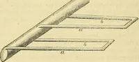 Picture 4 of 147 from The gardener's magazine and register of rural & domestic improvement (1826), leaf 30