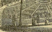 Picture 70 of 147 from The gardener's magazine and register of rural & domestic improvement (1826), leaf 337