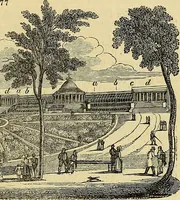 Picture 71 of 147 from The gardener's magazine and register of rural & domestic improvement (1826), leaf 337