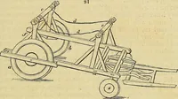 Picture 74 of 147 from The gardener's magazine and register of rural & domestic improvement (1826), leaf 387