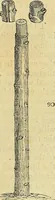 Picture 81 of 147 from The gardener's magazine and register of rural & domestic improvement (1826), leaf 435