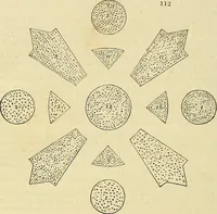 Picture 102 of 147 from The gardener's magazine and register of rural & domestic improvement (1826), leaf 576