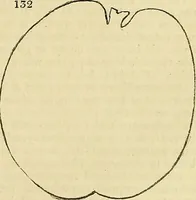 Picture 118 of 147 from The gardener's magazine and register of rural & domestic improvement (1826), leaf 619