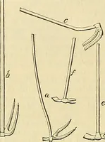 Picture 123 of 147 from The gardener's magazine and register of rural & domestic improvement (1826), leaf 664