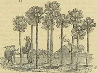 Picture 11 of 147 from The gardener's magazine and register of rural & domestic improvement (1826), leaf 75