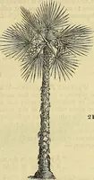 Picture 18 of 147 from The gardener's magazine and register of rural & domestic improvement (1826), leaf 87