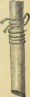 An illustration from The gardener's magazine and register of rural & domestic improvement (1826)