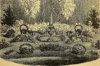 An illustration from The gardener's magazine and register of rural & domestic improvement (1826)