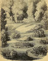 An illustration from The gardener's magazine and register of rural & domestic improvement (1826)