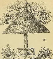 An illustration from The gardener's magazine and register of rural & domestic improvement (1826)