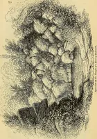 An illustration from The gardener's magazine and register of rural & domestic improvement (1826)