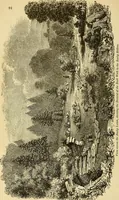 An illustration from The gardener's magazine and register of rural & domestic improvement (1826)