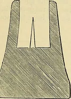 An illustration from The gardener's magazine and register of rural & domestic improvement (1826)