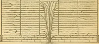 An illustration from The gardener's magazine and register of rural & domestic improvement (1826)