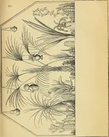 An illustration from The gardener's magazine and register of rural & domestic improvement (1826)