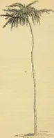 An illustration from The gardener's magazine and register of rural & domestic improvement (1826)
