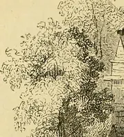 An illustration from The gardener's magazine and register of rural & domestic improvement (1826)