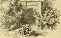 An illustration from The gardener's magazine and register of rural & domestic improvement (1826)