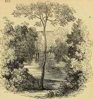 An illustration from The gardener's magazine and register of rural & domestic improvement (1826)