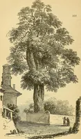 An illustration from The gardener's magazine and register of rural & domestic improvement (1826)