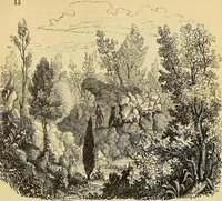 An illustration from The gardener's magazine and register of rural & domestic improvement (1826)