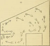 An illustration from The gardener's magazine and register of rural & domestic improvement (1826)