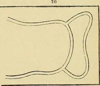 An illustration from The gardener's magazine and register of rural & domestic improvement (1826)