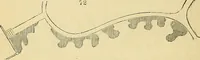An illustration from The gardener's magazine and register of rural & domestic improvement (1826)
