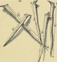 An illustration from The gardener's magazine and register of rural & domestic improvement (1826)