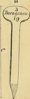 Picture 34 of 93 from The gardener's magazine and register of rural & domestic improvement (1826), leaf 293