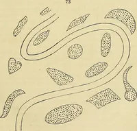 Picture 49 of 93 from The gardener's magazine and register of rural & domestic improvement (1826), leaf 413
