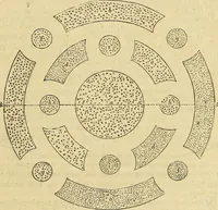 Picture 7 of 93 from The gardener's magazine and register of rural & domestic improvement (1826), leaf 45