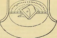 Picture 78 of 93 from The gardener's magazine and register of rural & domestic improvement (1826), leaf 666