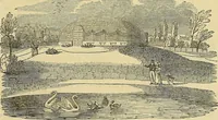 Picture 85 of 93 from The gardener's magazine and register of rural & domestic improvement (1826), leaf 705