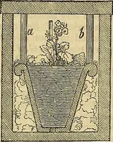 Picture 89 of 93 from The gardener's magazine and register of rural & domestic improvement (1826), leaf 729