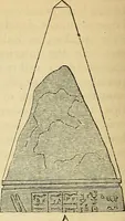 Picture 17 of 34 from The gardener's magazine and register of rural & domestic improvement (1826), leaf 221