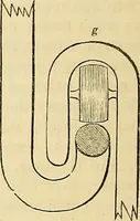 An illustration from The gardener's magazine and register of rural & domestic improvement (1826)