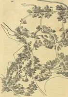 An illustration from The gardener's magazine and register of rural & domestic improvement (1826)