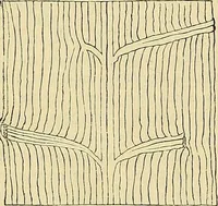 An illustration from The gardener's magazine and register of rural & domestic improvement (1826)