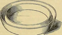 An illustration from The gardener's magazine and register of rural & domestic improvement (1826)