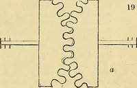 An illustration from The gardener's magazine and register of rural & domestic improvement (1826)