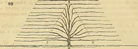 An illustration from The gardener's magazine and register of rural & domestic improvement (1826)