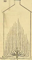 Picture 77 of 121 from The gardener's magazine and register of rural & domestic improvement (1826), leaf 553